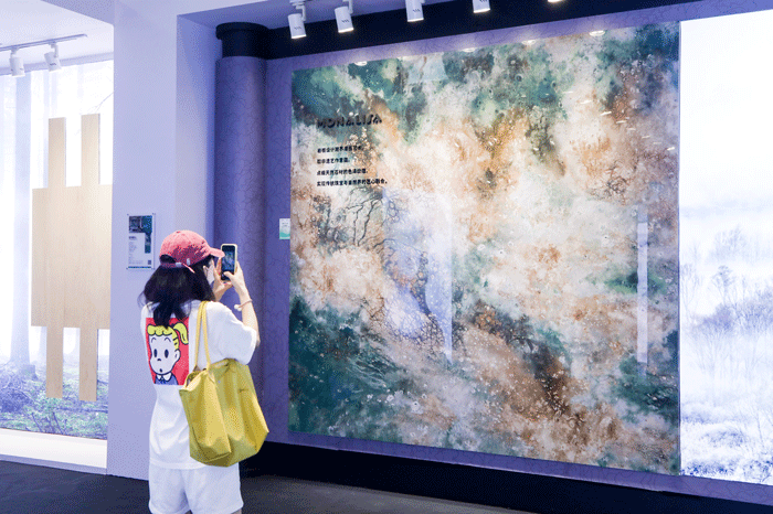 尊龙Z6 - 尊龙网址在线登陆官网